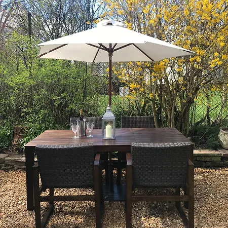 Ivy * סקיפטון